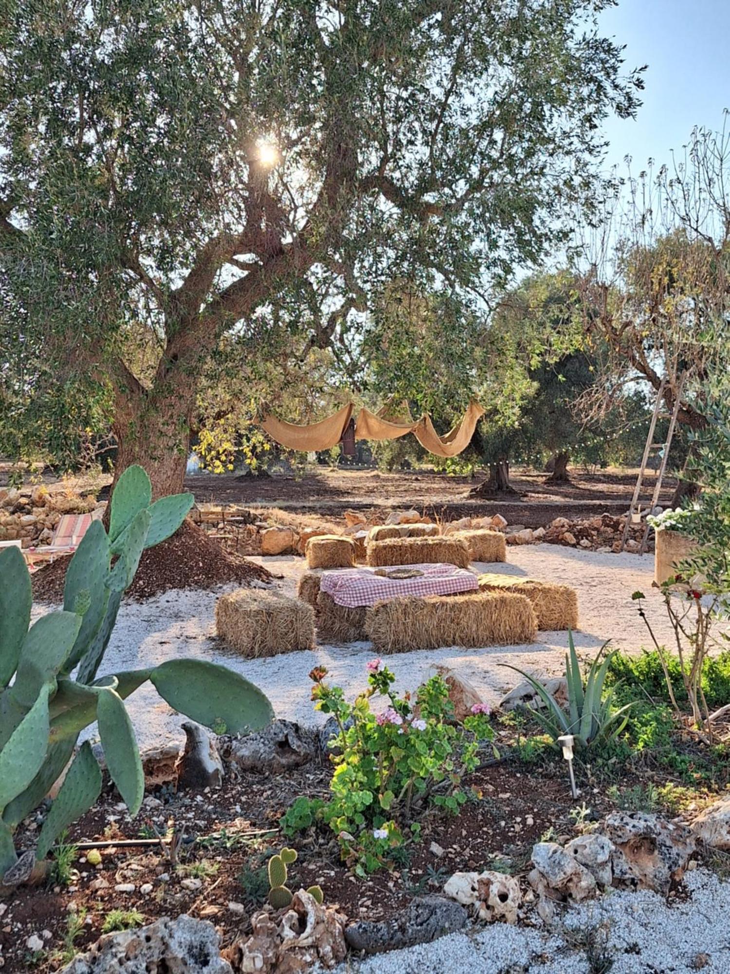 Residenza Anima Mediterranea Francavilla Fontana Buitenkant foto