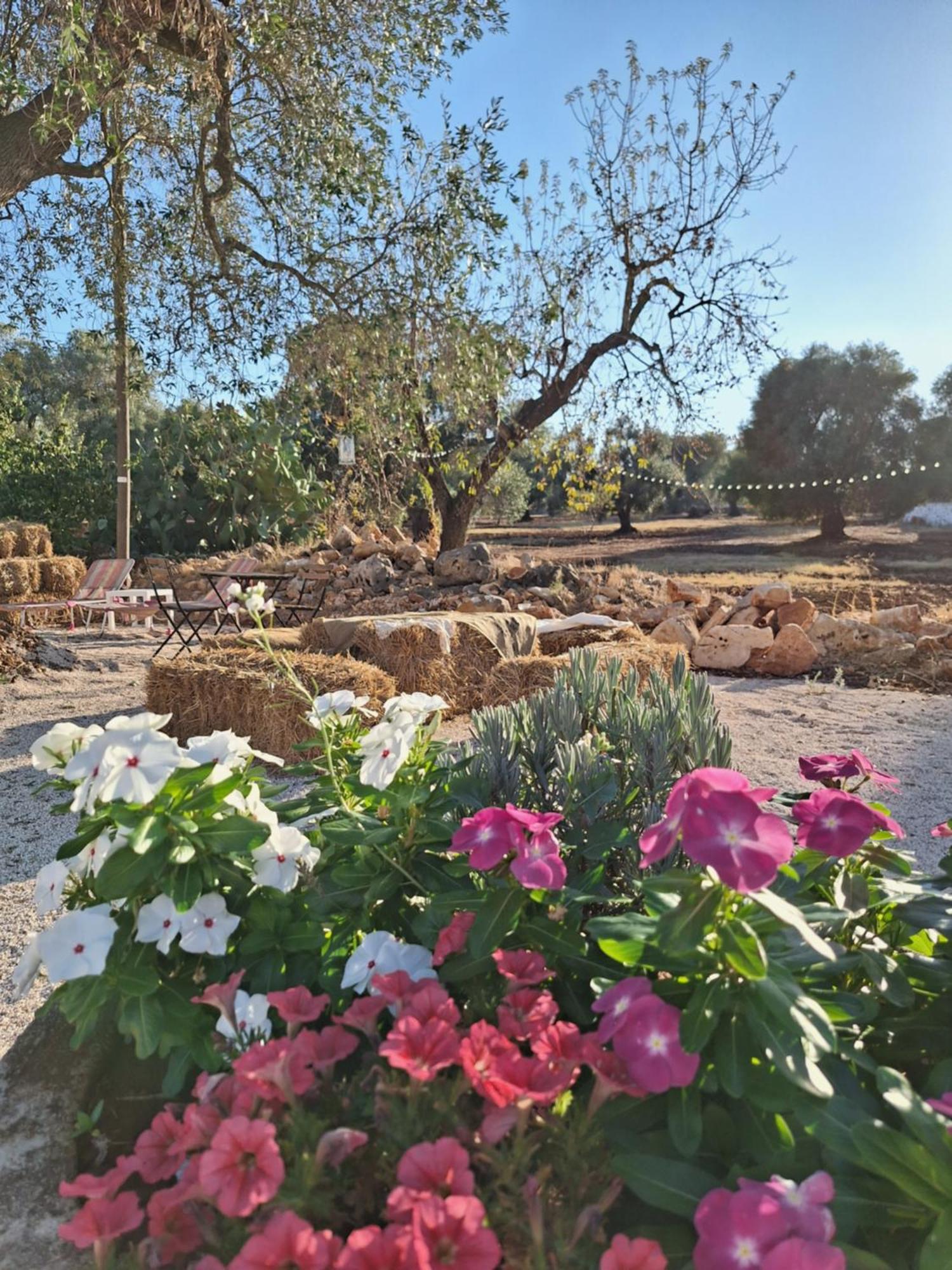 Residenza Anima Mediterranea Francavilla Fontana Buitenkant foto