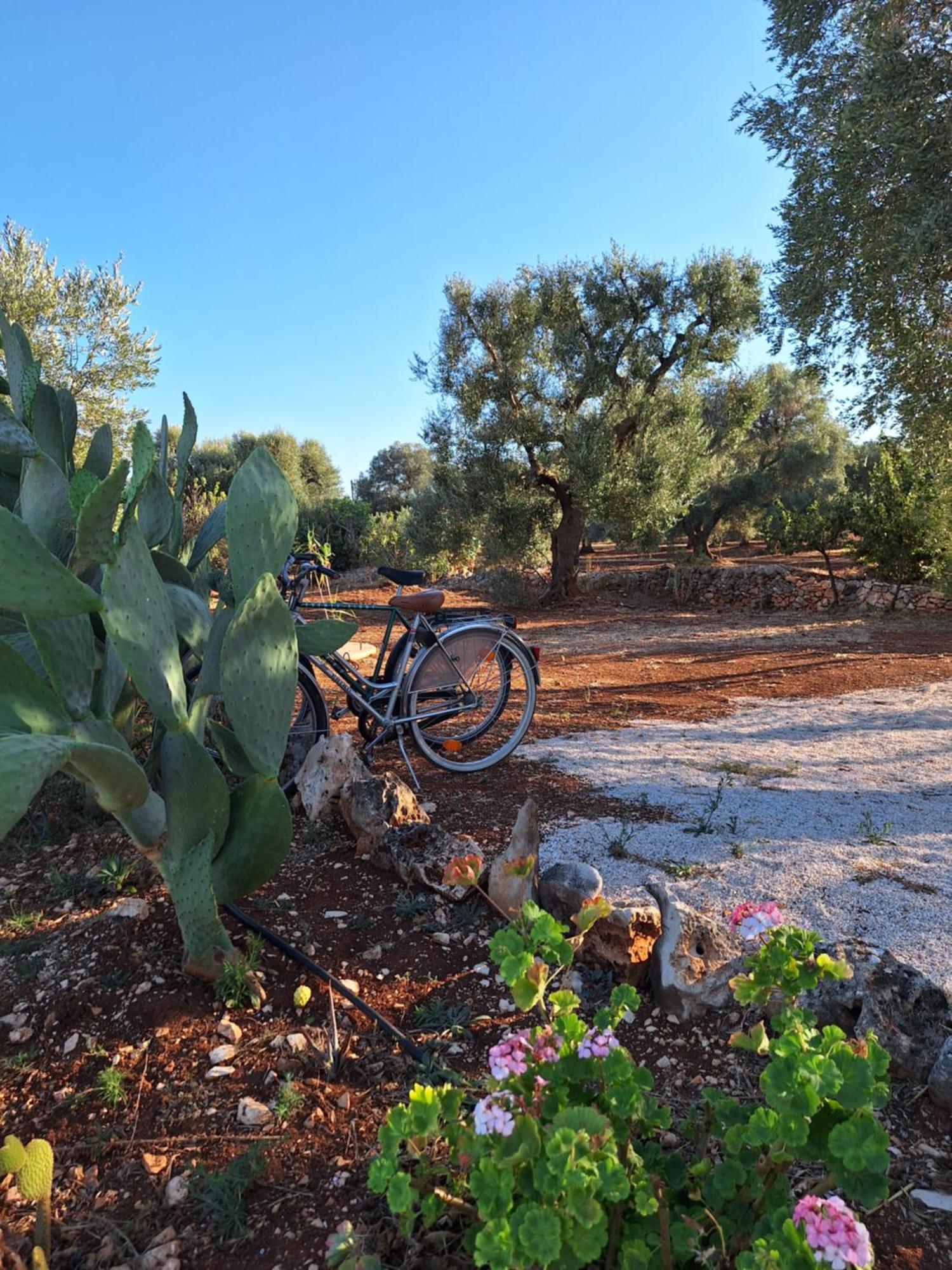 Residenza Anima Mediterranea Francavilla Fontana Buitenkant foto